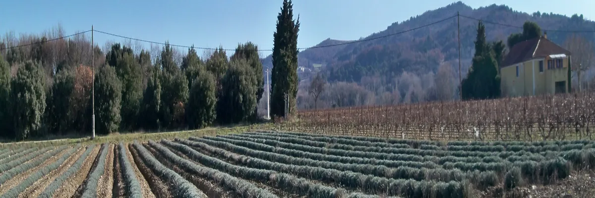 image-installateur-carport-solaire-visan.webp Image Installateur carport solaire Visan